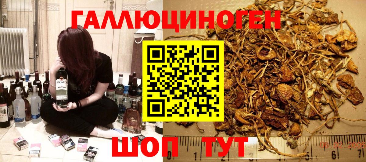Псилоцибиновые грибы мухоморы Кимовск